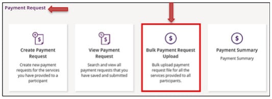 Claiming Payments In Bulk A Guide For NDIS Plan Managers